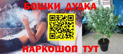 a pvp Малоярославец