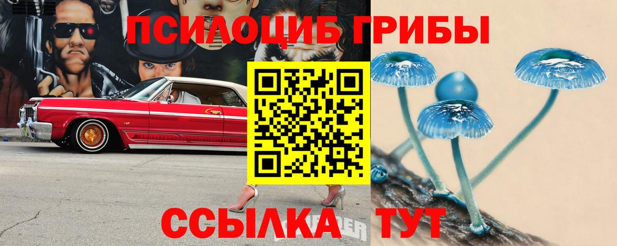 Галлюциногенные грибы ЛСД  Вход с VPN  закладки  Унеча 